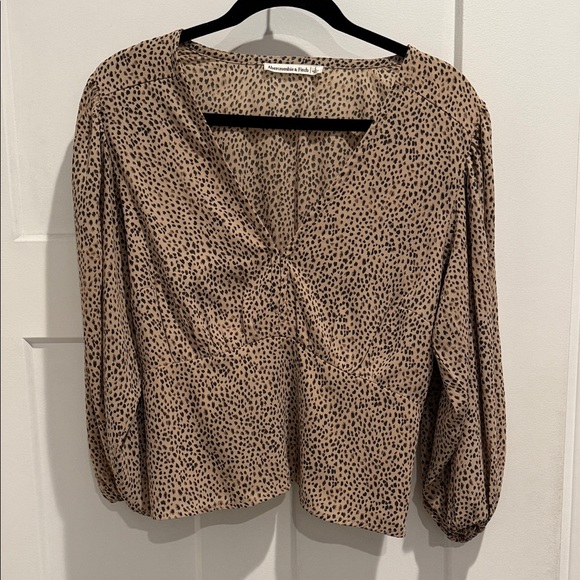Abercrombie & Fitch Tops - Abercrombie & Fitch Tan and Black Leopard Print V-Neck Blouse